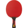 Ракетка для н/т DOUBLE FISH 7A+C, для професс.,ITTF Appr.,накл.2,1мм,+ 2 мяча V40+мм ITTF Appr за 3&nbsp;559.80 ₽ купить в Архангельске
