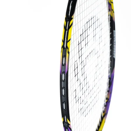 Ракетка бадм. TORRES Carbon PRO6, BD20521,для продв., стерж/обод из карбона,со струнами, фиол за 4&nbsp;477.80 ₽ купить в Архангельске