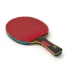 Ракетка для н/т DOUBLE FISH 7A+C, для професс.,ITTF Appr.,накл.2,1мм,+ 2 мяча V40+мм ITTF Appr за 3&nbsp;559.80 ₽ купить в Архангельске