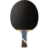 Ракетка для н/т DOUBLE FISH 5A+C, для продвин, ITTF Appr, накл. 2,1 мм, конич. ручка+ 2 мяча V40+мм за 2&nbsp;779.50 ₽ купить в Архангельске