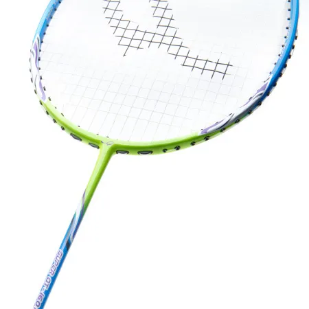 Ракетка для бадм. DOUBLE FISH JINQUE QT-1601, для продвинутых,карбон со струнами,литая,голубой за 3&nbsp;015.80 ₽ купить в Архангельске