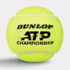 Мяч теннисный Dunlop ATP Championship 4B, 601627, уп.4ш, одобр. ITF, нат.резина,фетр. за 1&nbsp;242.70 ₽ купить в Архангельске
