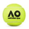 Мяч теннисный Dunlop Australian Open, 601601, уп..3 шт, одобр.ITF,фетр,нат.резина, желтый за 1&nbsp;171.30 ₽ купить в Архангельске