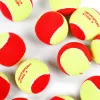Мяч теннисный детский NS Red, 5021009, уп.12 шт, резина, шерть, нейлон, желто-красный за 2&nbsp;941 ₽ купить в Архангельске