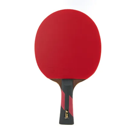 Ракетка для н/т DOUBLE FISH 7A+C, для професс.,ITTF Appr.,накл.2,1мм,+ 2 мяча V40+мм ITTF Appr за 3&nbsp;559.80 ₽ купить в Архангельске