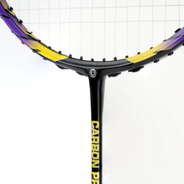 Ракетка бадм. TORRES Carbon PRO6, BD20521,для продв., стерж/обод из карбона,со струнами, фиол за 4&nbsp;477.80 ₽ в Архангельске