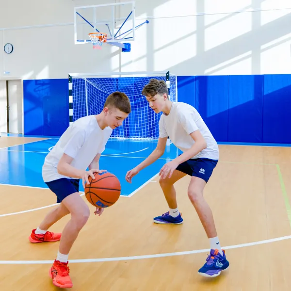 Щит баскетбольный игровой (монолитный поликарбонат) 1050х1800 мм ZAVODSPORTA за 47&nbsp;600 ₽ в Архангельске