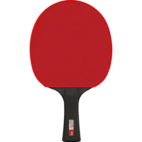 Ракетка для н/т DOUBLE FISH Black Carbon King Racket 3***, для професс.,ITTF Appr.,накл.2,1,мм за 4&nbsp;346.90 ₽ в Архангельске